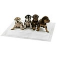 thumbnail image 1 of Leak-Proof Puppy Training Pads, Odor Control, Quick-Dry Surface, Regular, 100-Pack, Gray, 1 of 7
