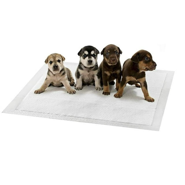 Leak-Proof Puppy Training Pads, Odor Control, Quick-Dry Surface, Regular, 100-Pack, Gray