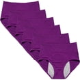 thumbnail image 1 of Leak Proof Underwear for Women, Plus Size Mesh Seamless Leakproof Protective Panties 6Pcs, 1 of 7