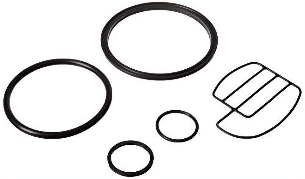 Leak Repair Kit For Fleck 2510 And 2510SXT Control