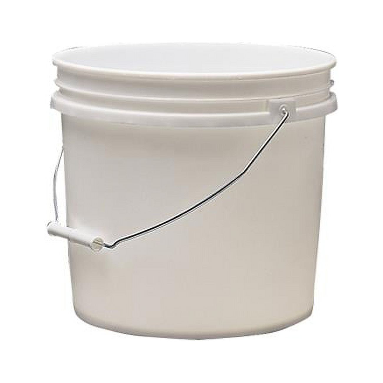Leaktite 003G01WH180 Paint Pail, Plastic, White