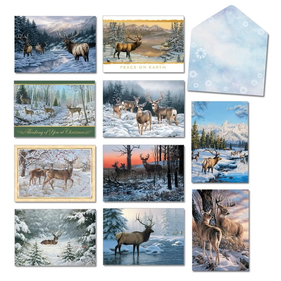Leanin' Tree, Natures Majesty, Boxed Christmas Cards, Assorted Christmas Cards, Christmas Cards Boxed with Envelopes, Holiday Cards. (20 Xmas Cards, 22 Envelopes)