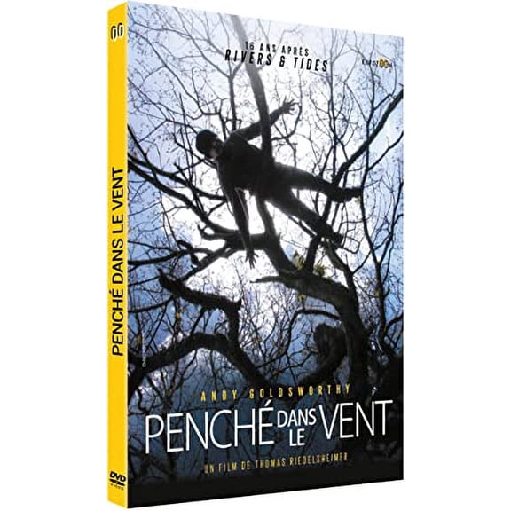 Leaning Into The Wind ( Leaning Into the Wind: Andy Goldsworthy ) [ NON-USA FORMAT, PAL, Reg.2 Import - France ]