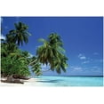 thumbnail image 1 of Leaning Palm Tree Poster 36in x 24in, 1 of 2