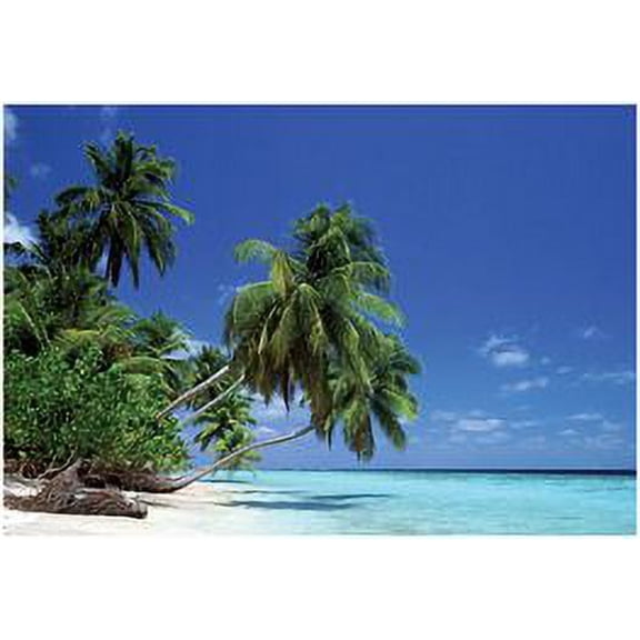Leaning Palm Tree Poster 36in x 24in