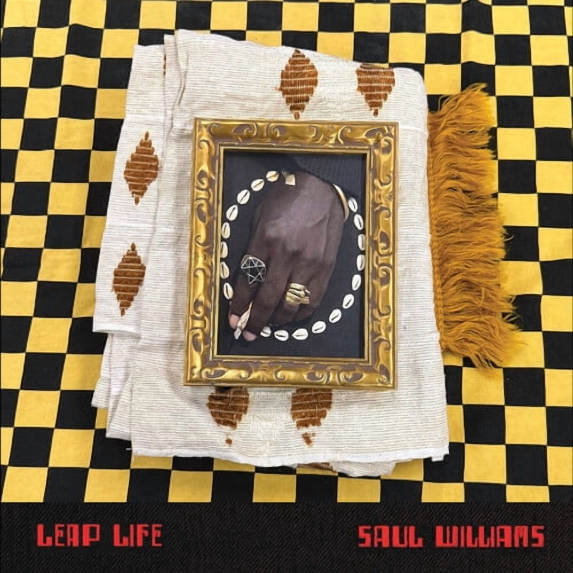 Saul Williams - Leap Life [COMPACT DISCS]