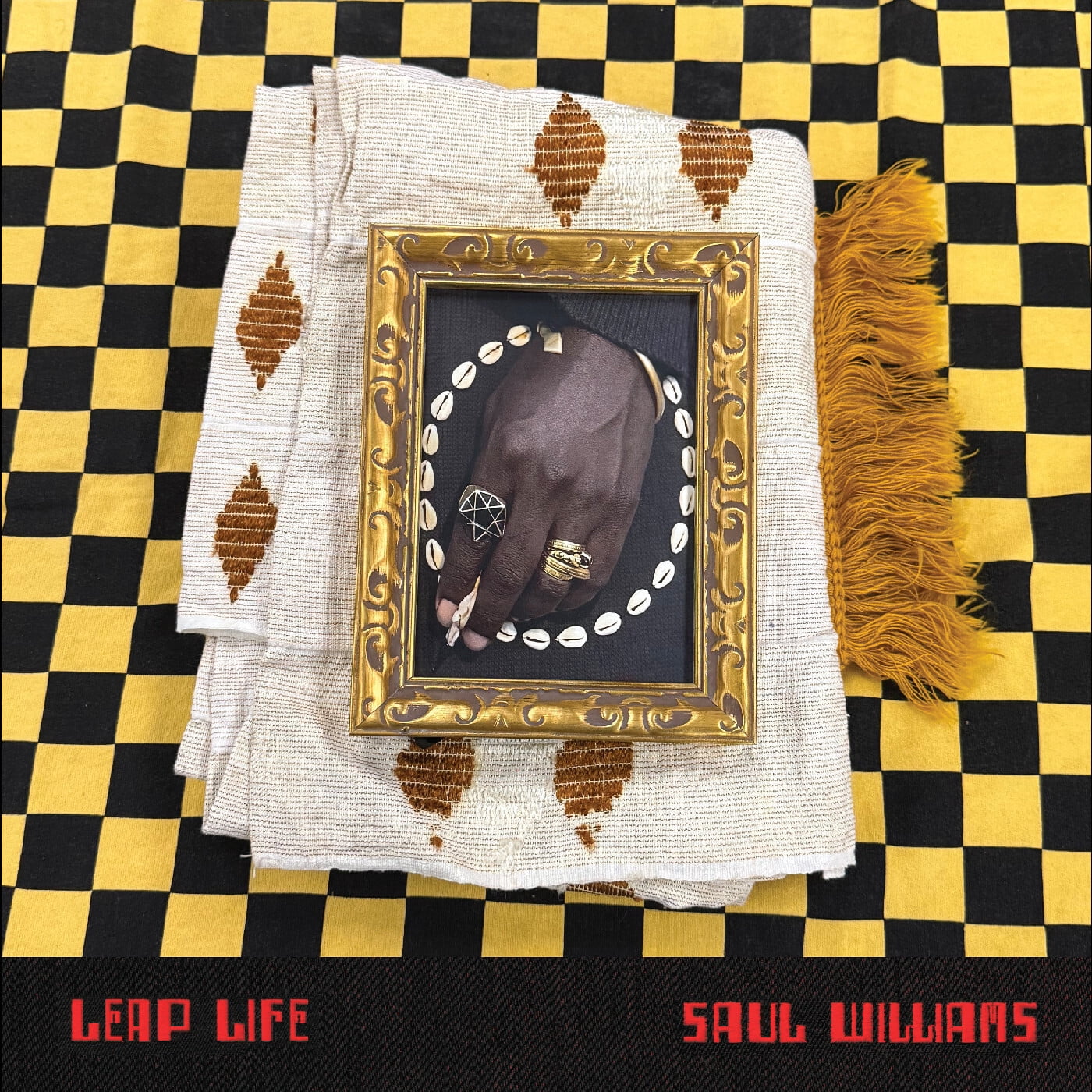 Saul Williams - Leap Life [VINYL LP]