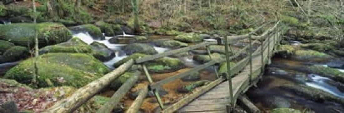 Leap of Faith broken bridge Becky Brook Becky Falls Bovey Tracey Dartmoor National Park Devon England Canvas Art - Panoramic Images (18 x 6)