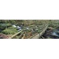 thumbnail image 1 of Leap of Faith broken bridge, Becky Brook, Becky Falls, Bovey Tracey, Dartmoor National Park, Devon, England Poster Print (18 x 6), 1 of 1