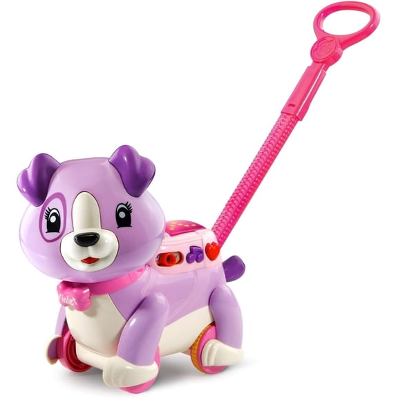 LeapFrog Step and Learn Violet Color: Violet Exclusive