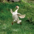 thumbnail image 1 of Leaping And Galloping Goose Ground Plug,Duck Decor Acrylic Goose Decorative Gardening Stakes,Funny Yard Art Garden Lawns Potted,Outside Garden Art Outdoor Decorative Stake Accessories Yard Decoration, 1 of 6