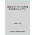 thumbnail image 1 of Pre-Owned Leaping the Abyss: Putting Group Genius to Work (Paperback) 0965899500 9780965899505, 1 of 1