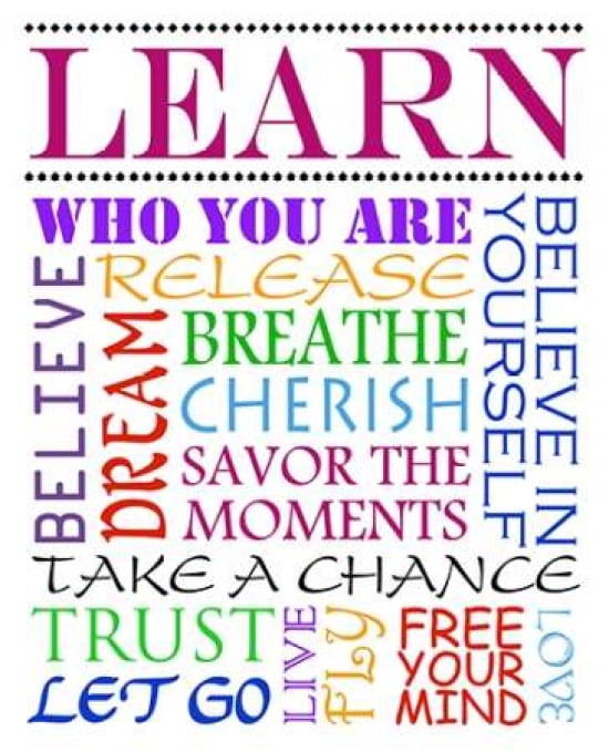 Learn Canvas Art - Anna Quach (20 x 24)