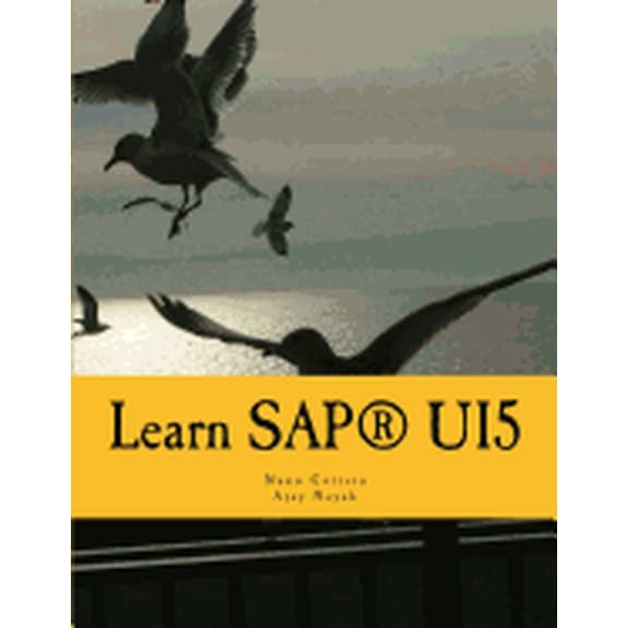 Learn SAPUI5: The new enterprise Javascript framework with examples (Paperback) by Ajay Nayak, Nuno Correia