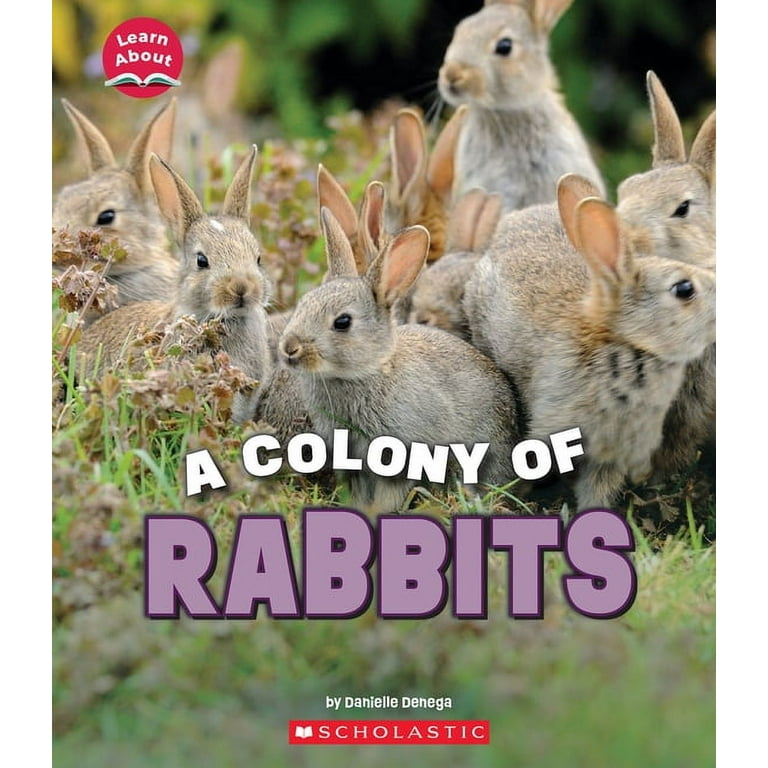 Learn about: A Colony of Rabbits (Learn About: Animals) (Hardcover 