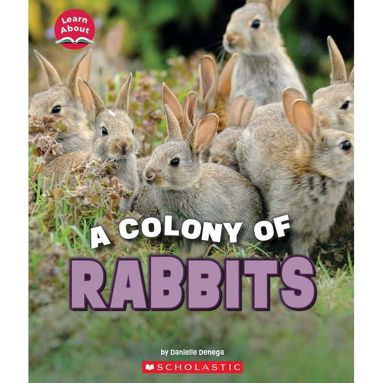 Learn about: A Colony of Rabbits (Learn About: Animals) (Paperback 