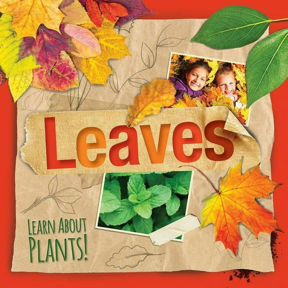 Learn about Plants!: Leaves (Paperback)