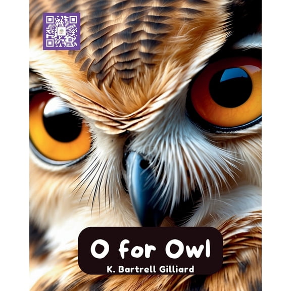 Learn the Alphabet with Animal Friends O For Owl: Fun ways to learn about Owls (Zoo Edition), Book 15, (Paperback)