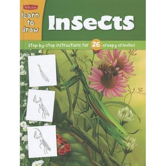 Learn to Draw Insects