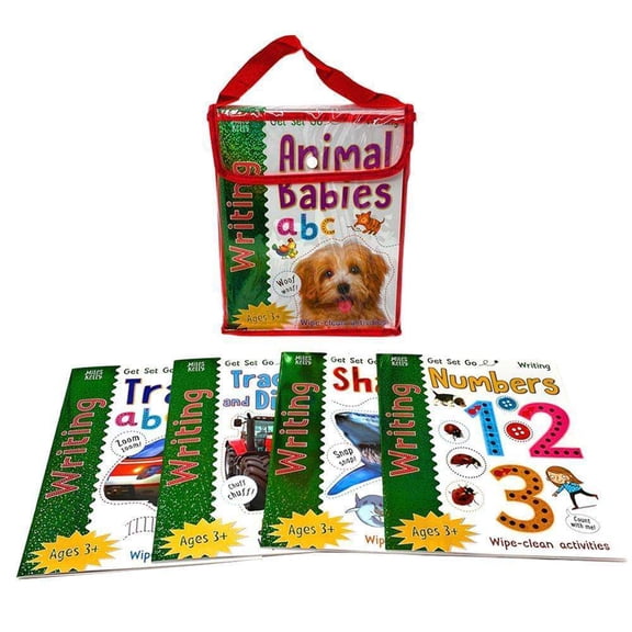 Learn to Write (Wipe-Clean 10 Activity Book Set)