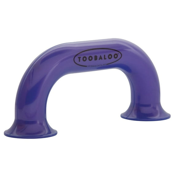 Learning Loft Toobaloo Auditory Feedback Educational Tool, Purple