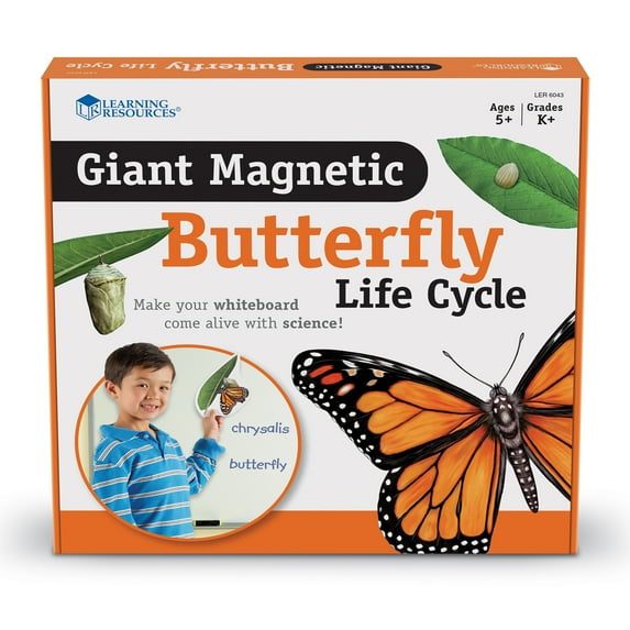 Learning Resources Butterfly Life Cycle, 9 Write and Wipe Pieces, Classroom Accessories, Teaching Aids, Ages 5+