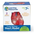 thumbnail image 1 of Learning Resources Soft Foam Cross-Section Human Heart Model - 2 Pieces, Ages Boys and Girls 7+ Science Exploration Tools, STEM Classroom Activities, 1 of 4