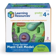 Learning Resources Cross-Section Plant Cell Model - 2 Pieces, Grades 4+ Plant Anatomy for Kids, STEM Classroom Supplies, Science Exploration Activities, Science Classroom Accessories