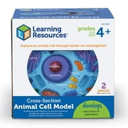 Learning Resources Cross-Section Plant Cell Model - 2 Pieces, Grades 4+ Plant Anatomy for Kids, STEM Classroom Supplies, Science Exploration Activities, Science Classroom Accessories