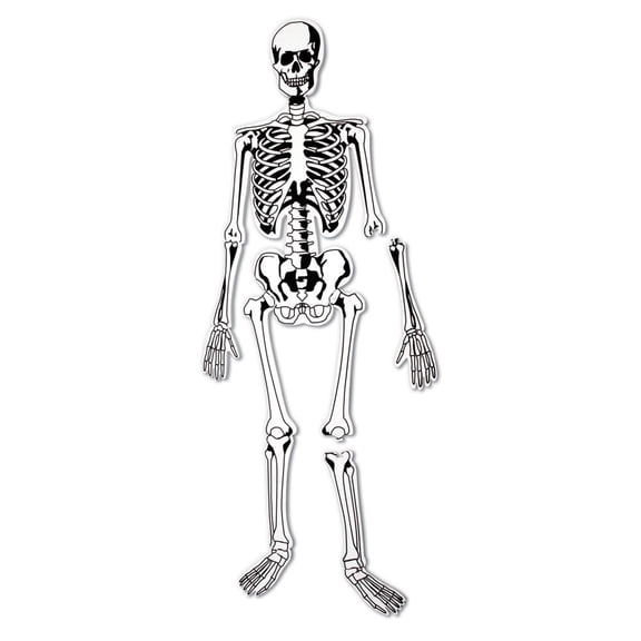 Learning Resources Double-Sided Skeleton Foam Jigsaw Puzzles, 15 Pieces