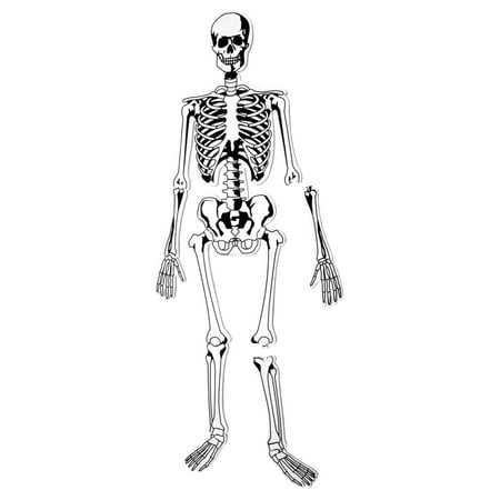 Learning Resources Double-Sided Skeleton Foam Jigsaw Puzzles, 15 Pieces