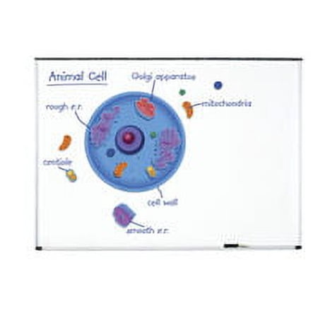 Learning Resources Giant Magnetic Animal Cell, 18 Piece Set, Ages 5+