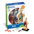 thumbnail image 1 of Learning Resources Human Body Anatomy Model, Classroom Supplies Ages 8, 1 of 7