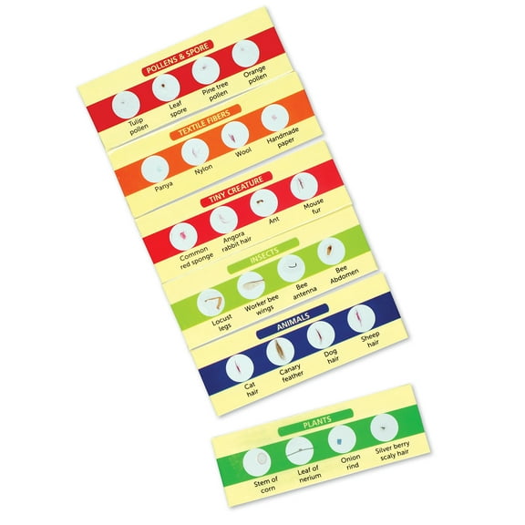 Learning Resources Prepared Slides Set 2, 24 Specimens