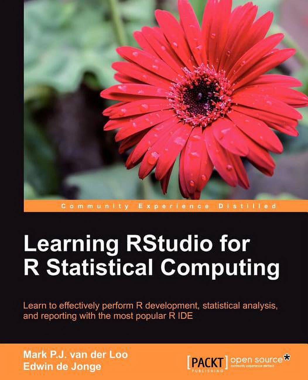 Learning　Computing　Rstudio　Statistical　R　for　(Paperback)