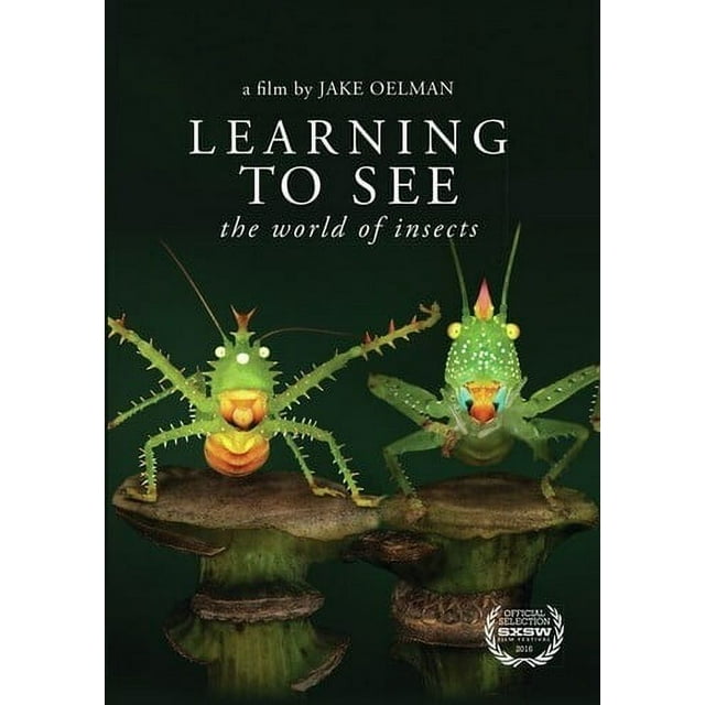 Learning To See: The World Of Insects (DVD), Filmrise, Documentary ...