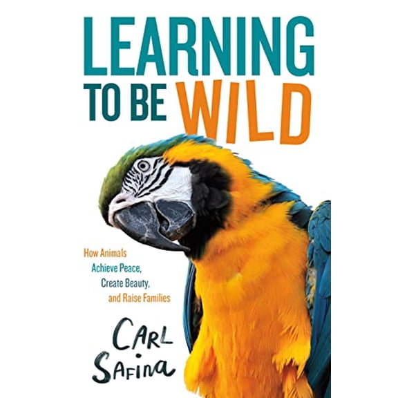 Pre-Owned Learning to Be Wild (a Young Reader's Adaptation): How Animals Achieve Peace, Create Beauty, and Raise Families (Hardcover) 1250838258 9781250838254