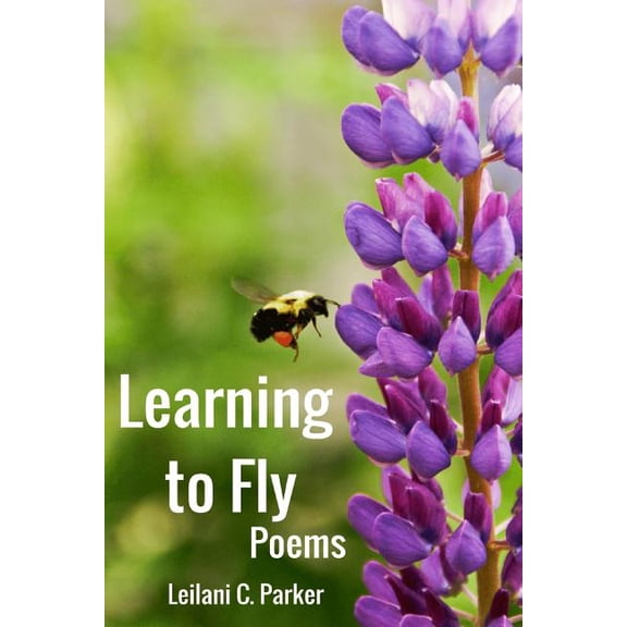 Learning to Fly (Paperback)