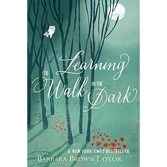 Pre-Owned Learning to Walk in the Dark (Hardcover) 0062024353 9780062024350