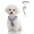 thumbnail image 1 of Leash Set - Dog Vest Harness for Small Dogs Medium Dogs- Adjustable Reflective Step in Harness - XS, 1 of 6