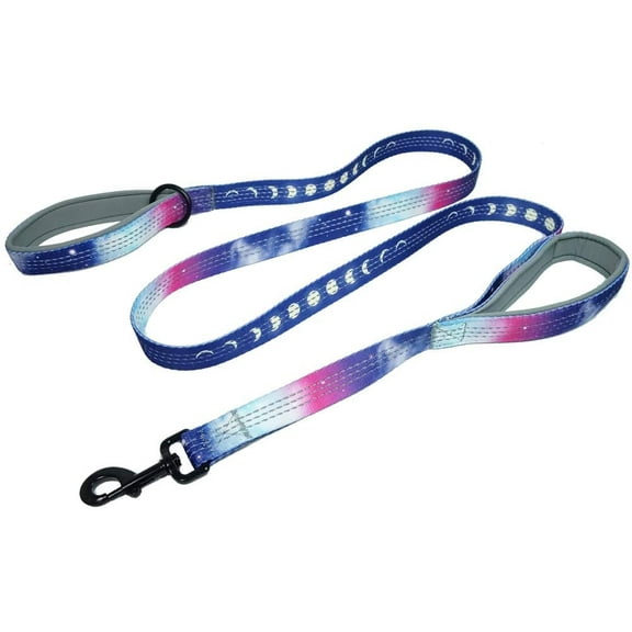Leashboss Double Handle Dog Leash, Pattern Collection, 6Ft Reflective Dog Leash with Two Padded Handles for Large Dogs or Medium Dogs That Pull | Pink/Purple
