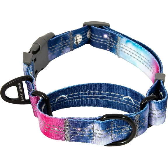 Leashboss Pattern Martingale Dog Collar, Reflective No-Pull Training Collar, Pattern Collection | Pink/Purple Med-Large