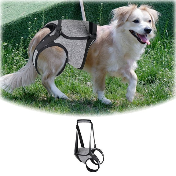 Leashes for Large Dogs Support Harness with Lift Sling Outdoor Rehabilitation Aid Heavy Duty Pet Leash for Senior Mobility Training and Back Leg Assistance
