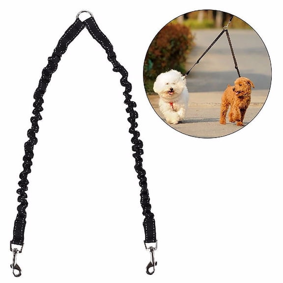 Elastic Double Reflective Dog Leash with 360 Absorption for Safe Pet Walking and Training Supplies