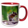 thumbnail image 1 of 3drose, Least Chipmunk Wildlife, San Juan Mountains, Co - Us06 Rnu0051 - Rolf Nussbaumer, 11oz Two-tone Red Mug, 1 of 6