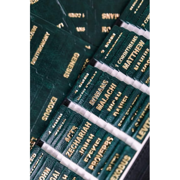 -Leather Bible Tabs, Bible Tabs for Women and Men(Gold Foil Lettering) Large Print Stickers, Easy to Read and Apply, 80 Chapters Labels for Easy Navigation(Dark Green)