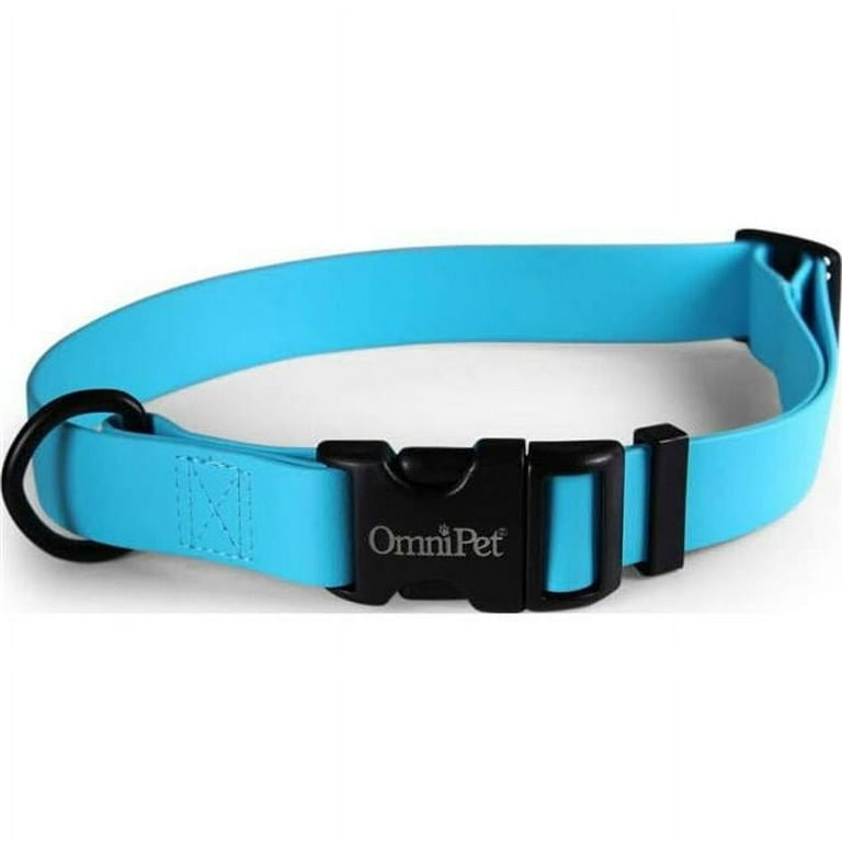 Leather brothers dog collars online