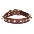 thumbnail image 1 of Leather Brothers Inc.  Black Signature Leather Spike and Stud Dog Collar -Size 26, 1 of 1