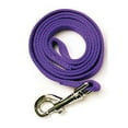 thumbnail image 1 of Leather Brothers Nylon Dog Leash 6ft x 5/8in Purpl, 1 of 2