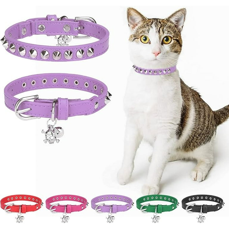 Cat neck belt with name online
